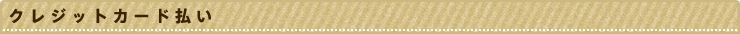 クレジットカード払い