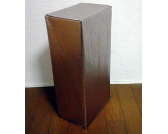 カバー頑張りました！