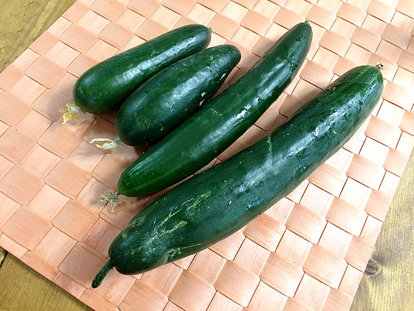 きゅうり