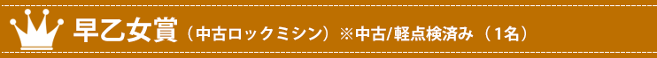 早乙女賞 中古ロックミシン